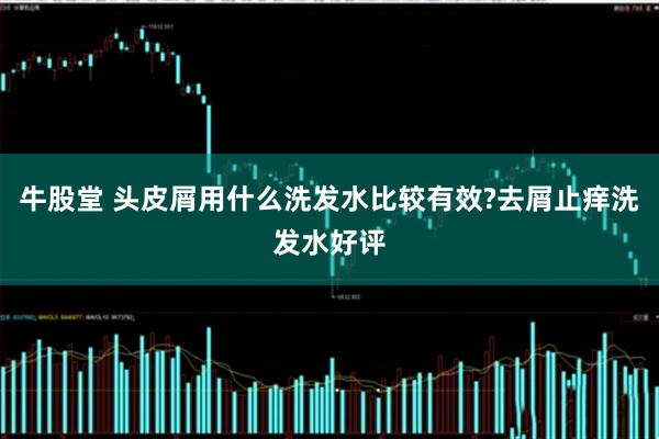 牛股堂 头皮屑用什么洗发水比较有效?去屑止痒洗发水好评