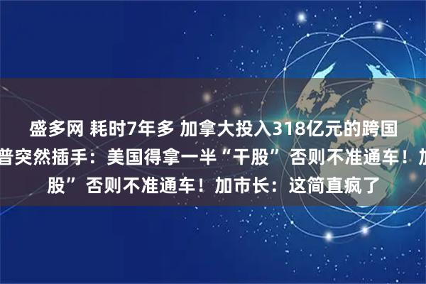 盛多网 耗时7年多 加拿大投入318亿元的跨国大桥完工在即 特朗普突然插手：美国得拿一半“干股” 否则不准通车！加市长：这简直疯了
