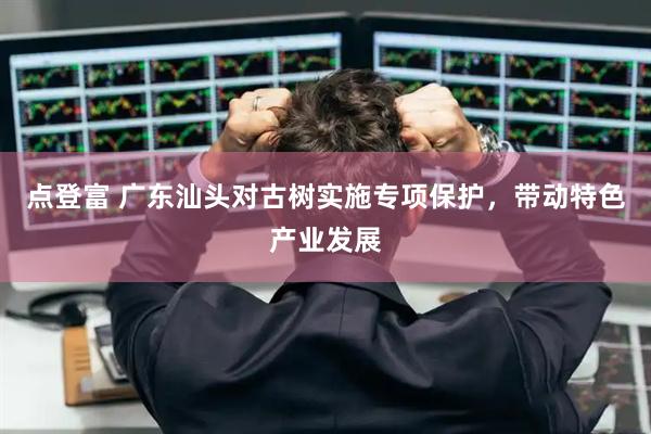 点登富 广东汕头对古树实施专项保护，带动特色产业发展